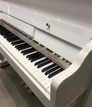 پیانو کاسیو PX s3000 دست دوم