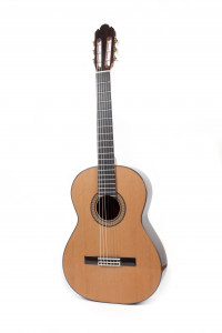guitar antonio sanchez 1025