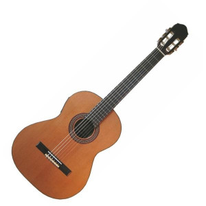 guitar raimundo 120e