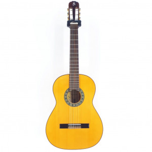 guitar raimundo 125