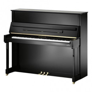 Piano Bechstein B124 Imposant